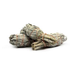 White Sage Smudge Torch medium